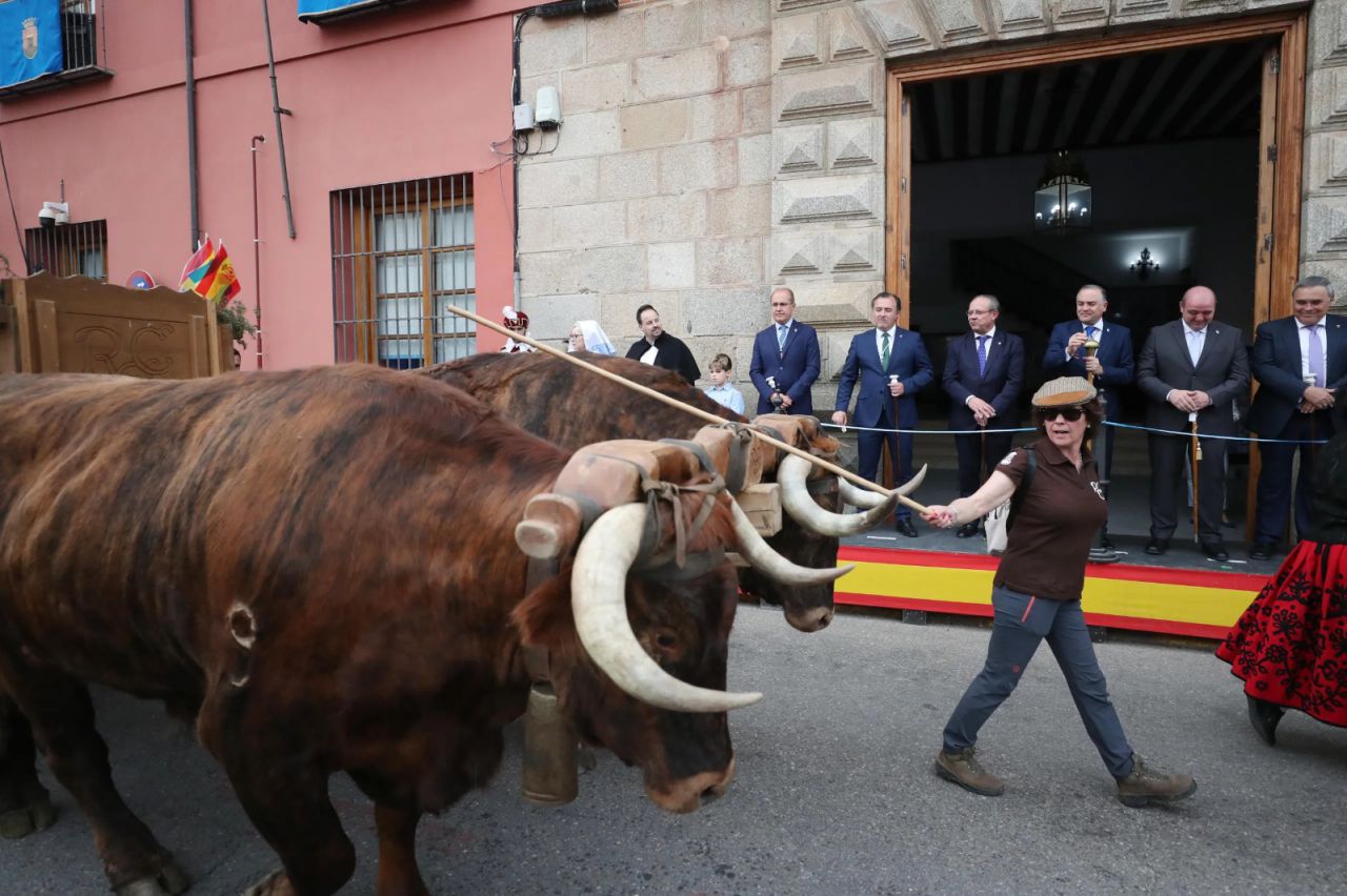 Cortejo de Mondas 2024