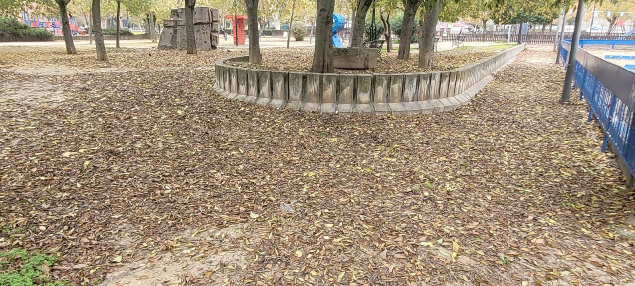 Hojas secas en Talavera de la Reina 