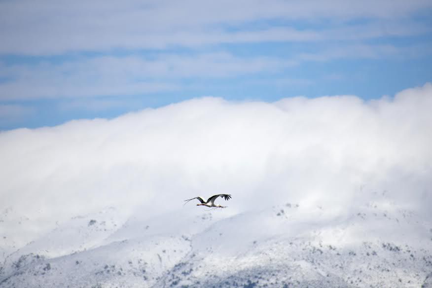 Navamorcuende y la Sierra de Gredos