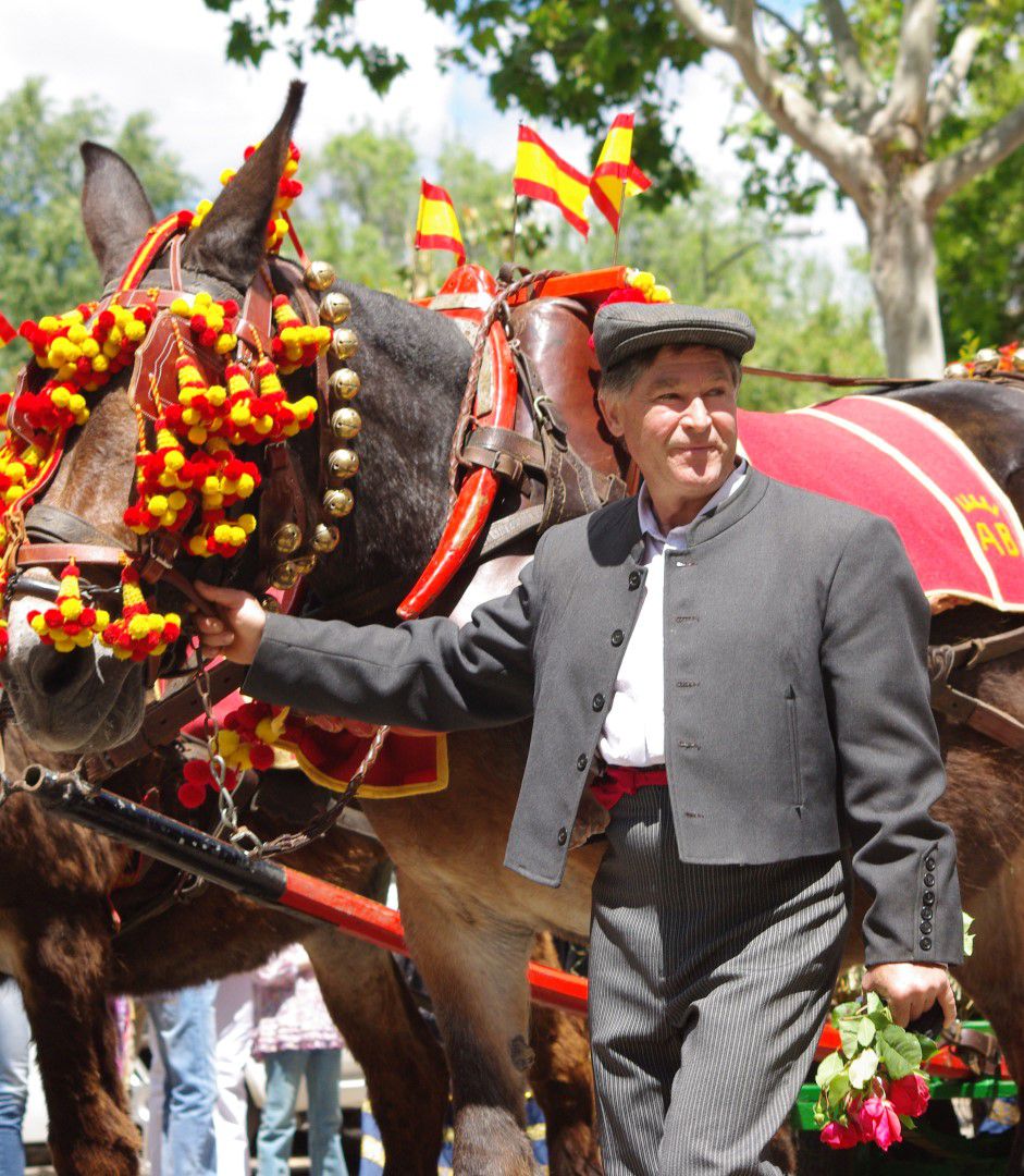 Desfile San Isidro en Talavera (2010)