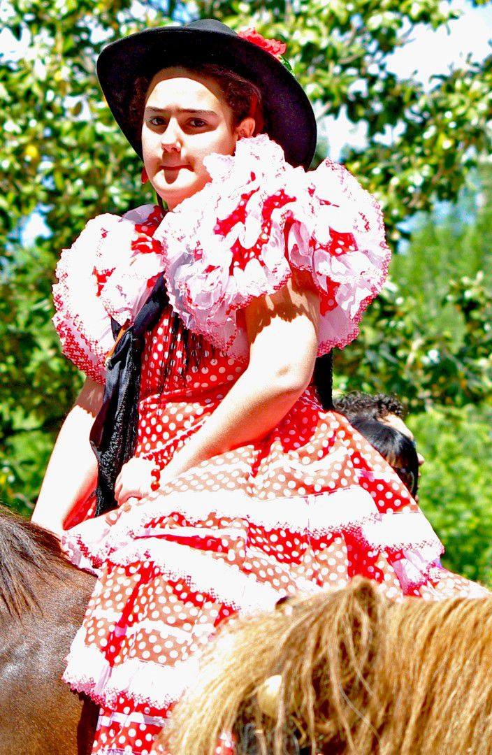 Desfile San Isidro en Talavera (2010)