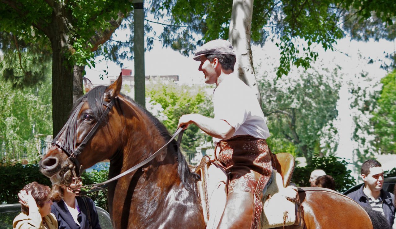 Desfile San Isidro en Talavera (2010)