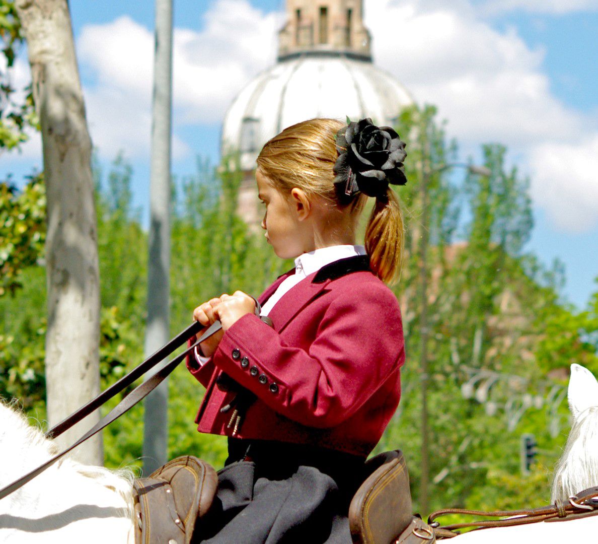 Desfile San Isidro en Talavera (2010)