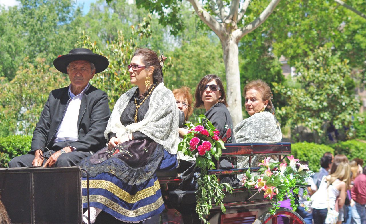 Desfile San Isidro en Talavera (2010)
