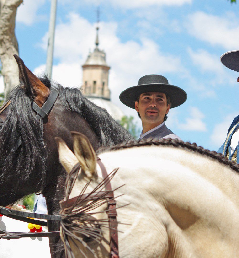 Desfile San Isidro en Talavera (2010)