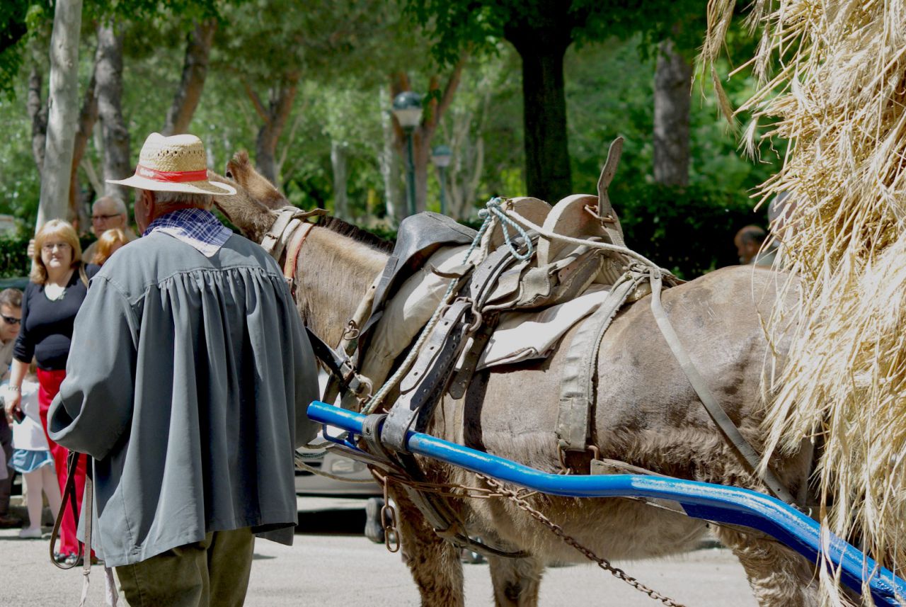 Desfile San Isidro en Talavera (2010)