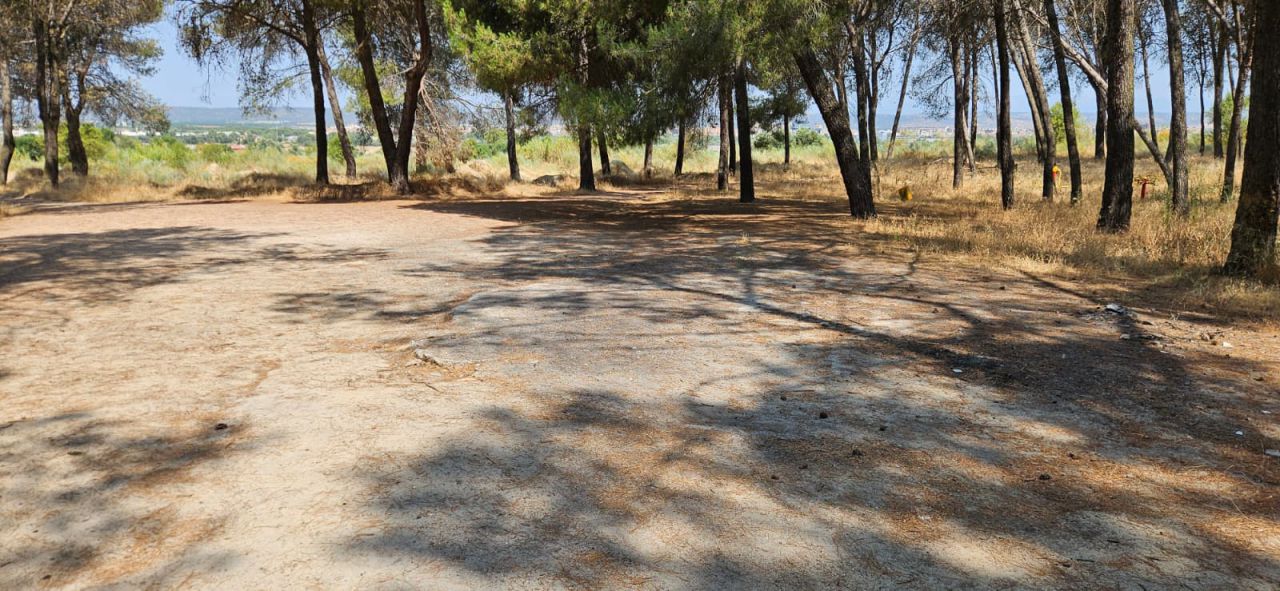 Talavera: Abandono del Gobierno de PP y Vox también en el Parque de ‘Los Pinos’