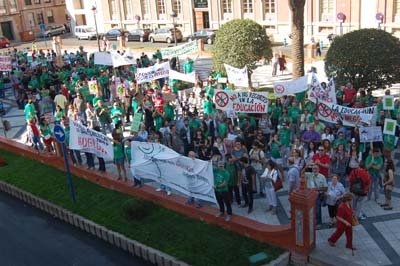 La manifestación llegó hasta la Plaza del Pan, frente a la Delegación de la Junta en Talavera. (Foto: J.F.)