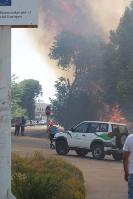 Las llamas eran visibles desde prácticamente toda la ciudad. (Foto: D.M.)