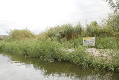 La segunda fase de limpieza y acondicionamiento en el río ya se encuentra en marcha. (Foto: Cova León)