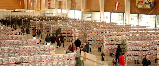 La Fundación Talavera Ferial, a la espera de ayudas para organizar nuevos eventos ganaderos
