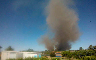 Nuevo incendio, por tercer domingo consecutivo, en las inmediaciones de Torrehierro