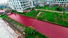 El río Yangtsé se tiñe de rojo súbitamente