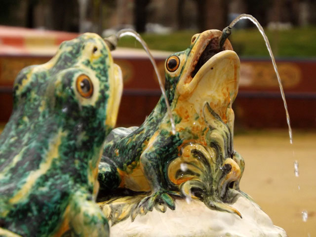 Ranas en la conocida fuente de El Prado. (Foto: Carlos Granda)