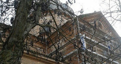 Comienzan los trabajos para restaurar la cornisa de la Basílica 