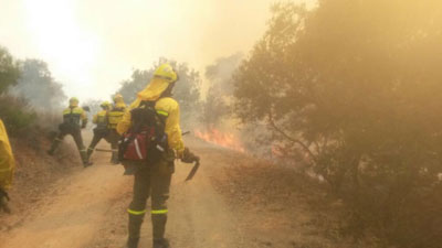 El incendio de Las Herencias quema alrededor de 60 hectáreas en el paraje conocido como 'El Mecachón'