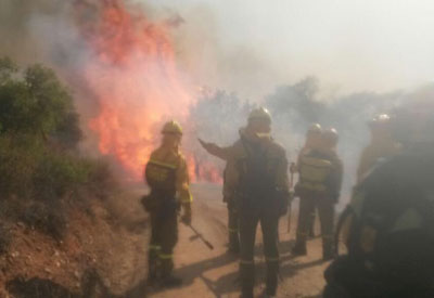 El incendio de Las Herencias quema alrededor de 60 hectáreas en el paraje conocido como 'El Mecachón'