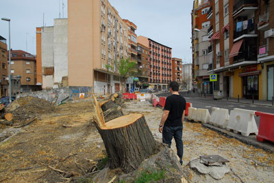 Gran malestar e indignación por la tala de los árboles de la Portiña de San Miguel