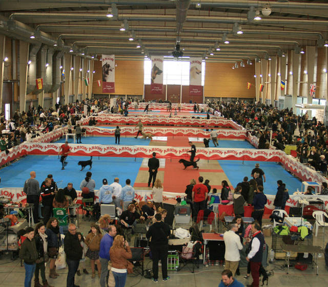 Más ejemplares y visitas en II Salón de la Mascota