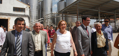 Soriano anuncia una nueva partida de 17,1 millones para reestructuración del viñedo de Castilla-La Mancha