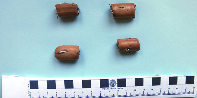 Detenido el presunto autor de envenenar perros en Toledo