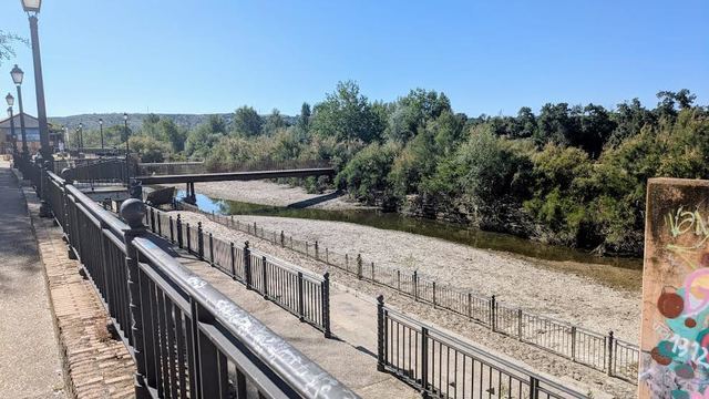 El PSOE de Talavera exige al Gobierno local que actúe y retire la acumulación de arena, vegetación  y basura que hay en el cauce del Tajo