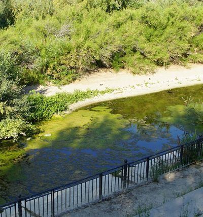 Acusan al Gobierno local de inacción por no presentar alegaciones al EPTI del Tajo dentro de plazo