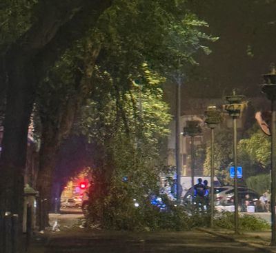 Una rama caída moviliza a los bomberos en plena madrugada de tormentas