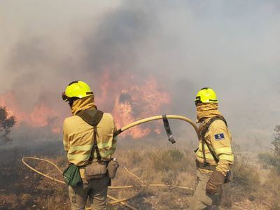 Controlado el incendio forestal declarado este sábado en Cazalegas
