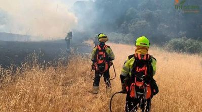 Tres incendios forestales vuelven a movilizar medios en la provincia de Toledo