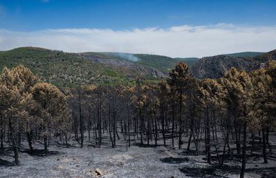 El incendio de La Mierla se convierte en el mayor incendio registrado en CLM