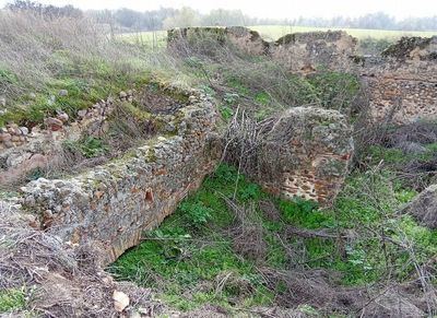 La villa romana de Las Tamujas entra en la Lista Roja del Patrimonio por su alarmante deterioro
