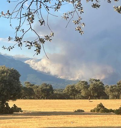 El fuego fuerza la evacuación de Sartajada, Almendral de la Cañada y La Iglesuela del Tiétar