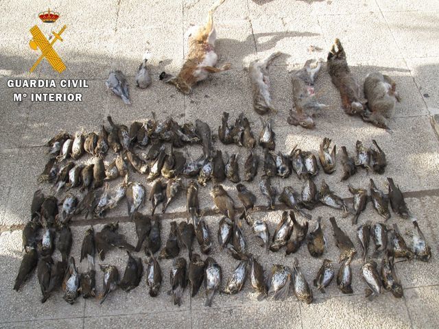 ÚLTIMA HORA | Incautadas grandes cantidades de droga, dinero y piezas de caza en dos establecimientos de esta localidad toledana