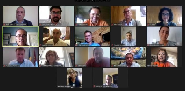 Imagen de reunión telemática del Comité de Dirección del PP de Toledo