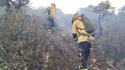 Dan por extinguido el incendio forestal en Los Navalucillos (Toledo)
