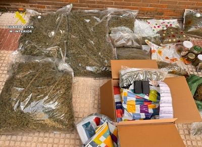 Desmantelada una infraestructura estable dedicada al cultivo y distribución de marihuana