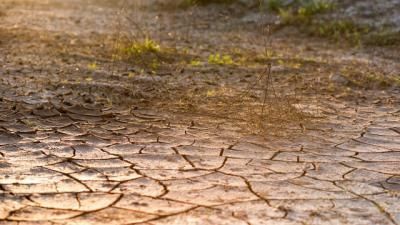 La CHT corta el regadío en el Alberche por la "situación de emergencia" del Tajo