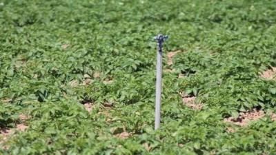 UPA CLM reclama una gestión justa y adecuada en el día mundial del Agua