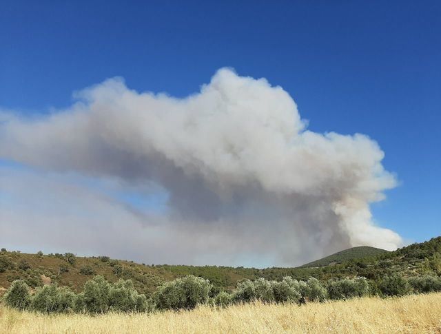 Incendio en Sevilleja de la Jara