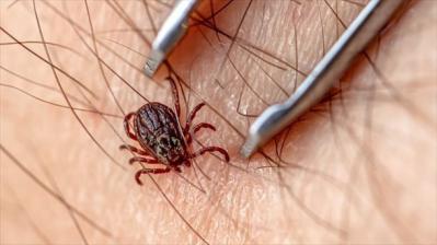 Registran un caso de fiebre hemorrágica de Crimea-Congo en un pueblo de Toledo