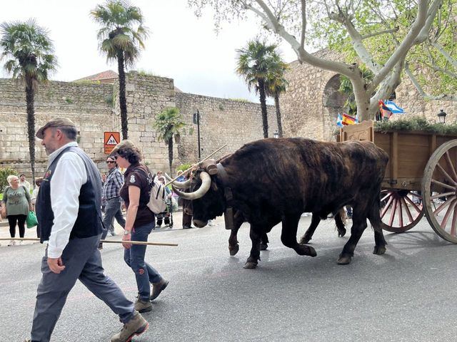 Cortejo Mondas 