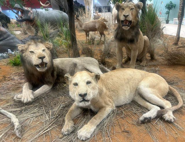 Talavera se vuelve 'salvaje' con animales de gran realismo