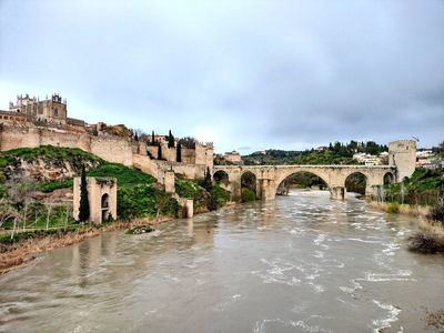Toledo pide a la Confederación Hidrográfica la limpieza inmediata de las riberas del Tajo