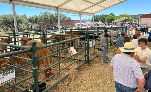 Segurilla celebra con éxito su VII Feria de Ganadería