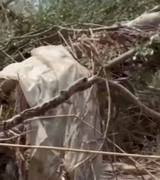 Talavera se suma al Proyecto LIBERA con una jornada de limpieza del río Tajo
