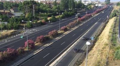 Muere una mujer en Olías al ser atropellada por dos coches y un camión