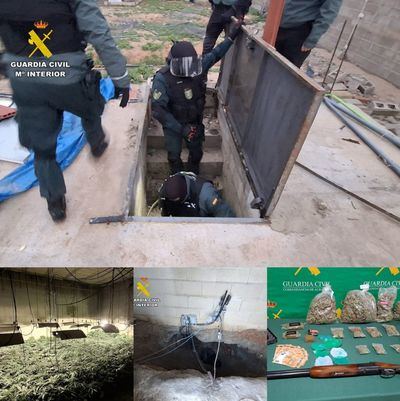 Cinco detenidos (entre 34 y 80 años), 800 plantas de cannabis y un búnker oculto