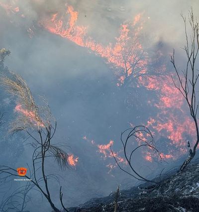 Los servicios de emergencias sofocan un incendio en Alcaudete de la Jara