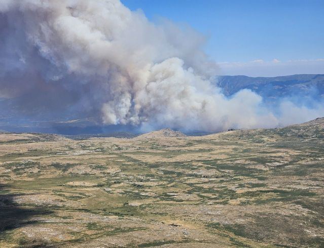 Incendio forestal en Navaluenga